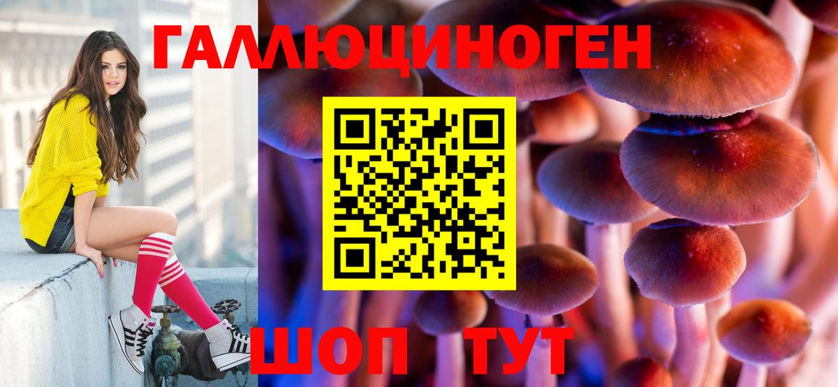 Фрязино  Галлюциногенные грибы Psilocybine cubensis  Вход с VPN 