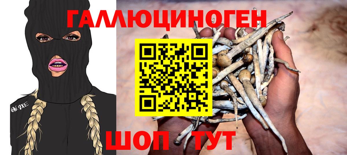 Псилоцибиновые грибы Cubensis Фрязино